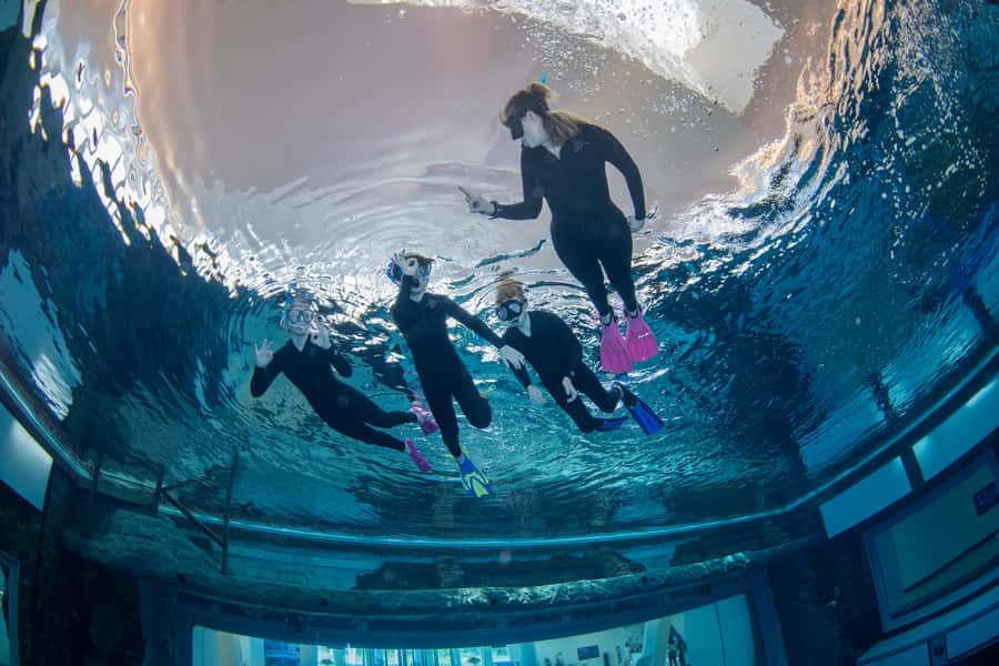 Dubai: Snorkeling at Deep Dive World's Deepest Pool - What happens during the one-hour session