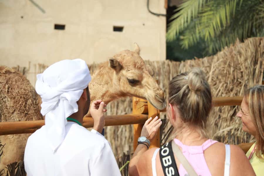 Dubai: Stopover City Highlights Tour with Flexible Timing - The guide can make or break a short tour