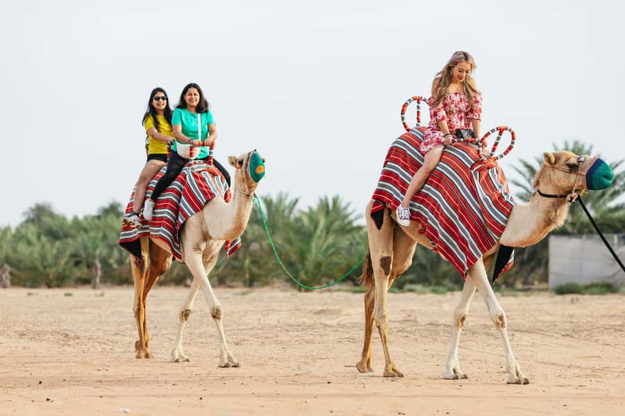 Dubai: Sunrise Balloon Flight with Camel Ride & Breakfast - Key points to know before booking