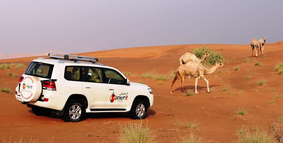 Dubai Sunrise Desert Camel Trek with Breakfast - Lahbab Desert and the first morning light