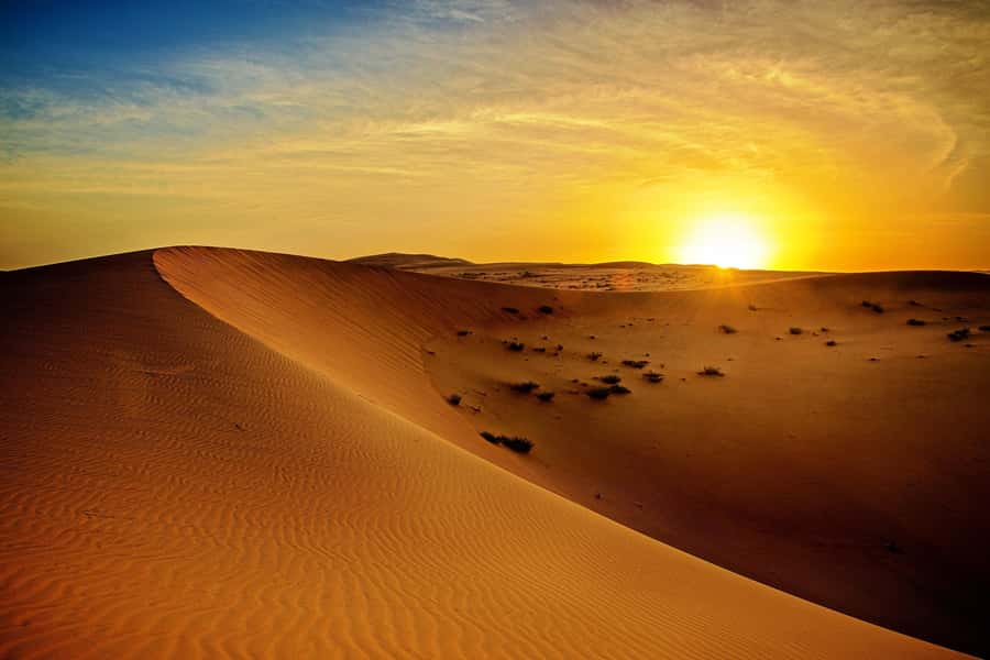 Dubai: Sunrise Desert Jeep Safari with Wildlife Experience - A sunrise worth the alarm