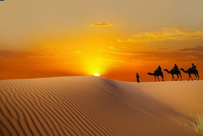 Dubai Sunrise Desert Safari - Why a 5:00 am start can be worth it