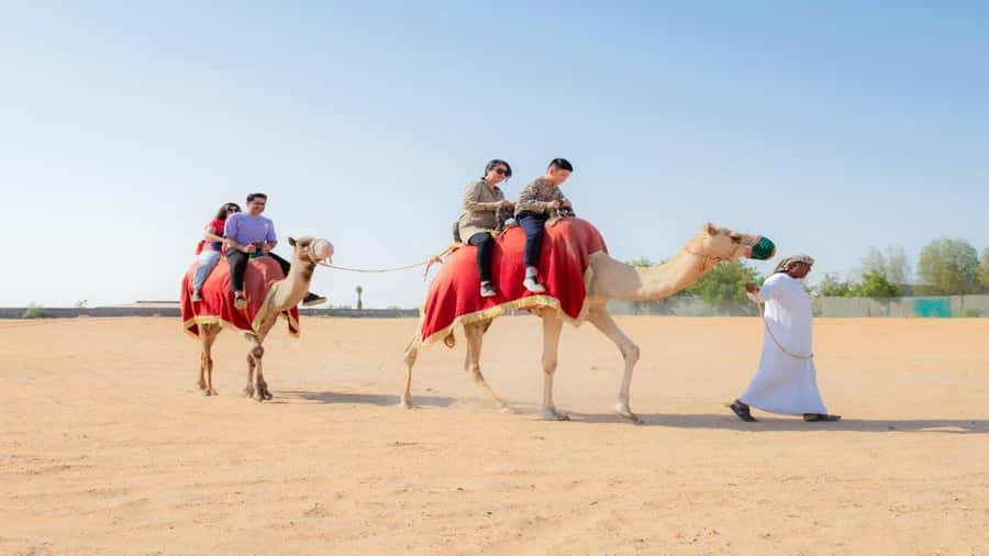 Dubai: Sunrise Hot Air Balloon Flight, Breakfast, Camel Ride - Who Will Get the Most From This Morning
