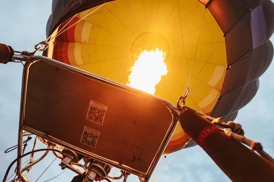 Dubai: Sunrise Hot Air Balloon Tour Over the Desert - Wildlife watching from the basket