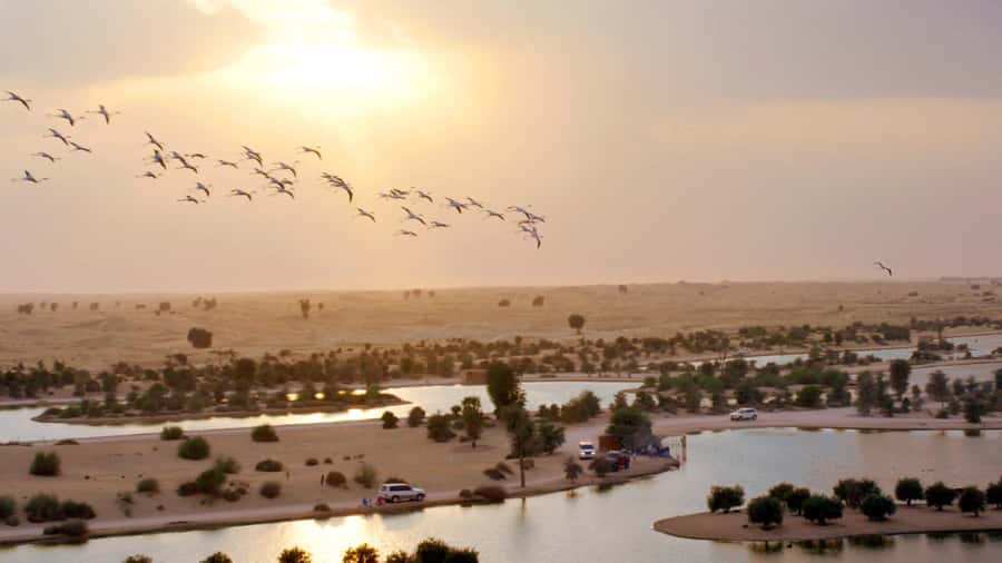 Dubai: Sunrise Hot Air Balloon Tour with E-Certificate - Should you book Dubai Ballooning?
