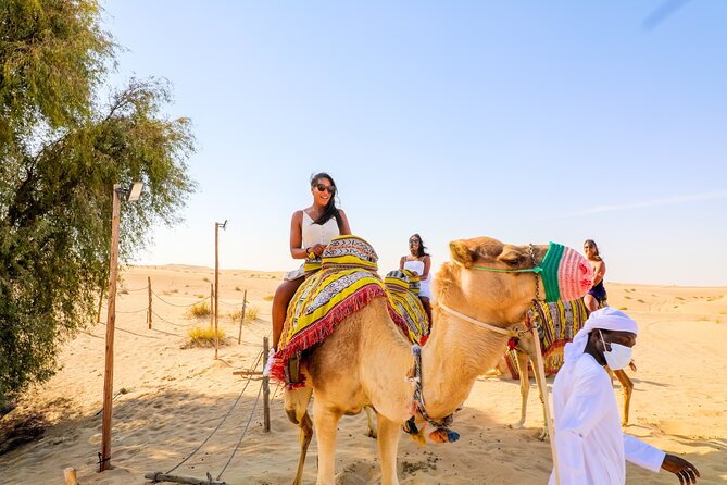 Dubai: Sunset Camel Trek, Al Khayma Camp, Stargazing & BBQ - From Dubai Hotel to Open Desert