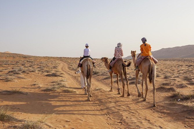 Dubai Sunset Camel Trekking with Shows & BBQ Dinner - Local dress, falcon photos, and camel feeding