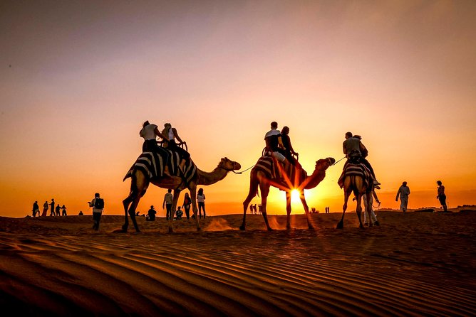 Dubai Sunset Camel Trekking with Shows & BBQ Dinner - BBQ dinner with plenty of choice