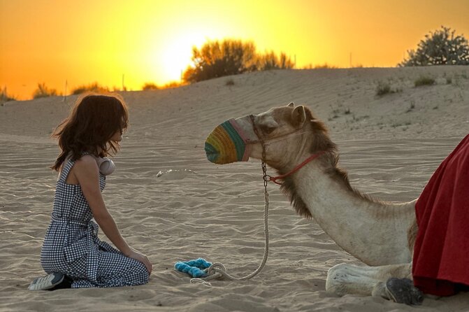Dubai Sunset Red Dune Desert Safari, Sandboarding and Camel Ride - Sandboarding on the red slopes