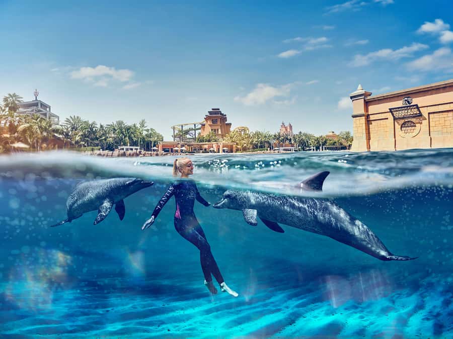 Dubai: Swim with Dolphins at Atlantis Waterpark - Key points to know before booking