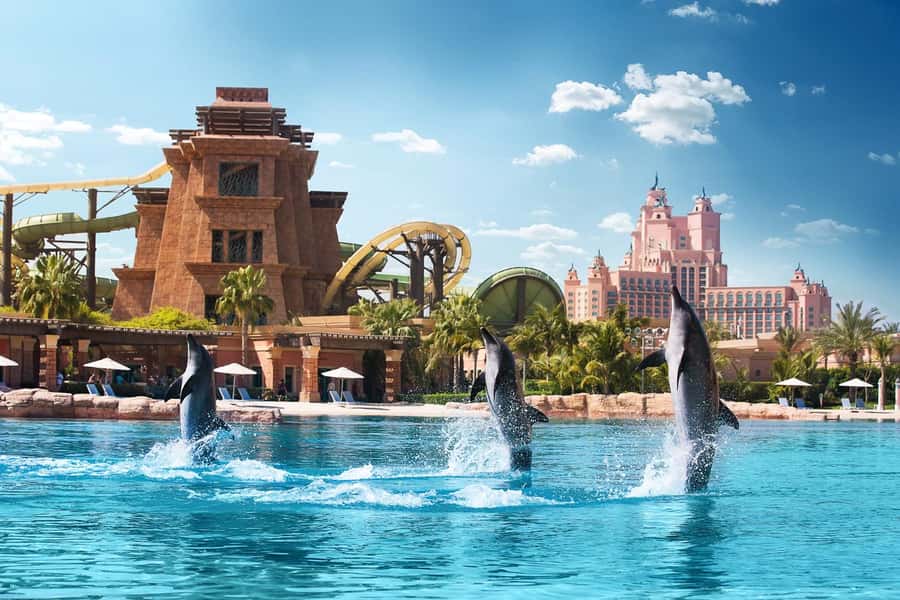 Dubai: Swim with Dolphins at Atlantis Waterpark - Meeting the dolphins at Dolphin Bay