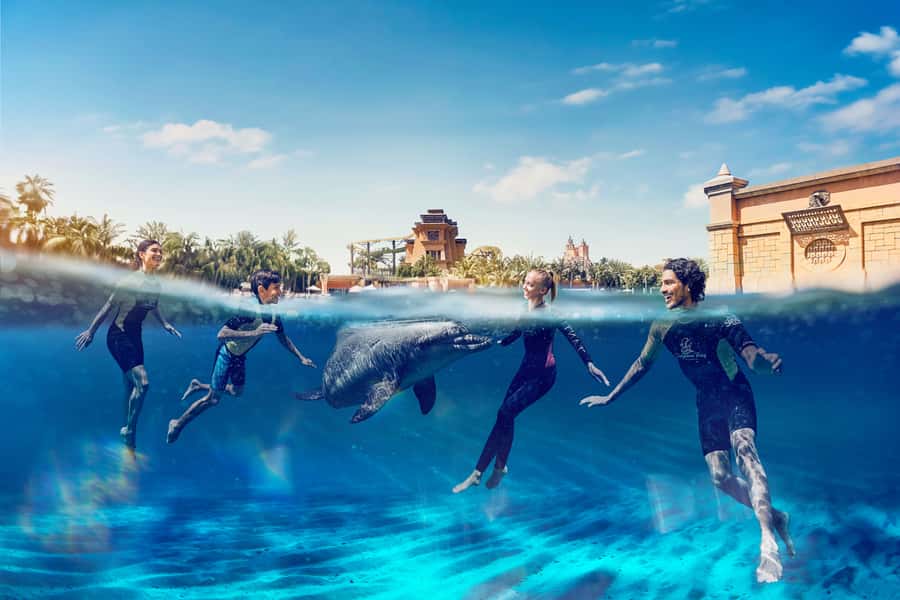 Dubai: Swim with Dolphins at Atlantis Waterpark - The 15-minute briefing with a marine mammal specialist