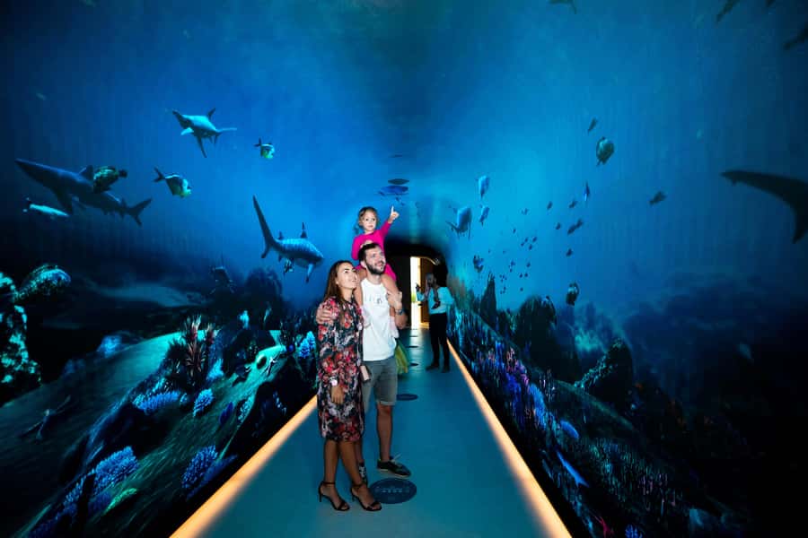 Dubai: The View At The Palm Observatory Entry Ticket - Is level 54 worth the extra cost?