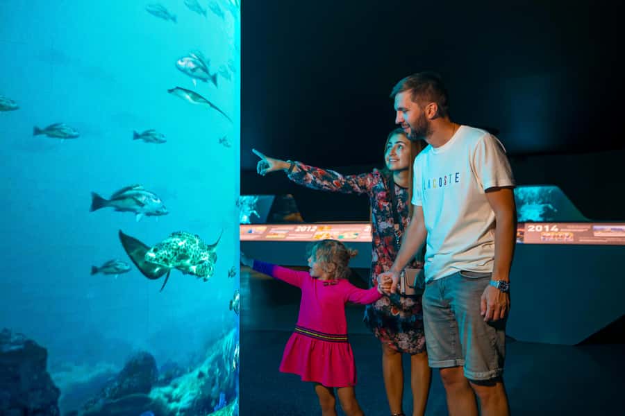 Dubai: The View At The Palm Observatory Entry Ticket - Getting there and planning your visit