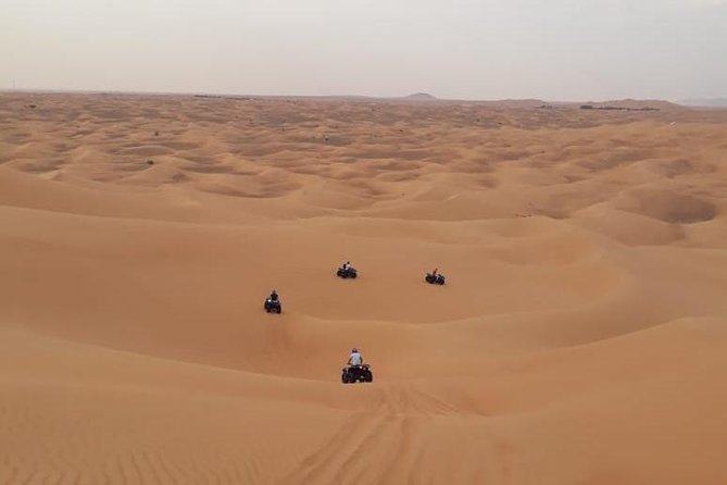 Dubai: Unique MORNING Quad Bike Red Dunes Safari - Quad biking across the dunes