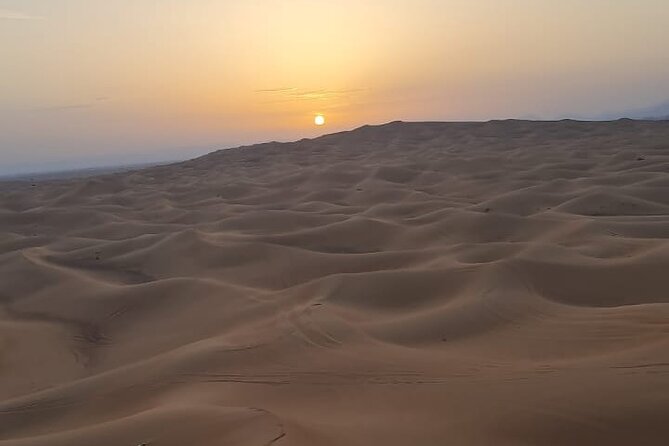 Dubai: Unique SUNRISE 4WD Red Dunes Safari - A slow camel ride after the speed