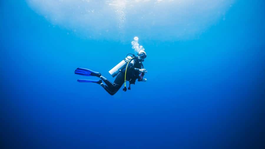 Dubai: VIP Private Scuba Dive with Free Hotel Transfer - A gentle introduction to scuba in Dubai