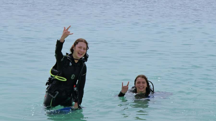 Dubai: VIP Private Scuba Dive with Free Hotel Transfer - Who will enjoy this most