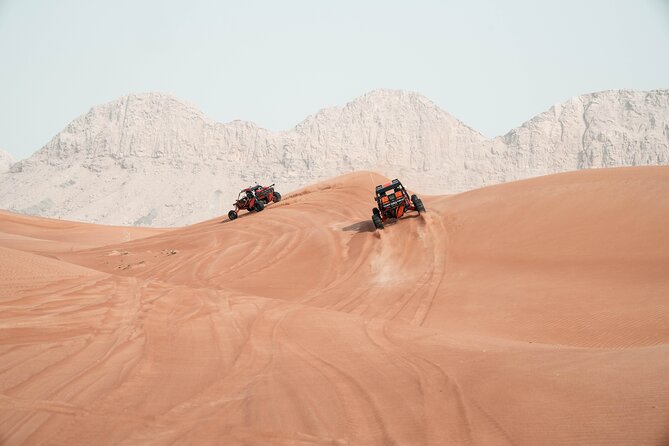 Dune Buggy Experience and Dinner at Mleiha Archaeological Center - Who will get the most from this outing?