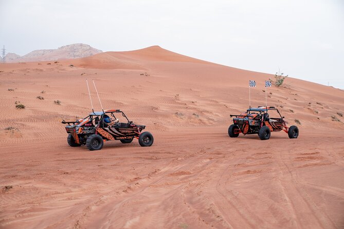 Dune Buggy Experience & Fossil Discovery in Mleiha National Park - Heat, timing, and what to bring