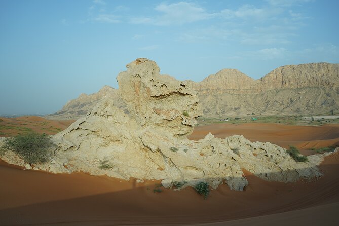 Dune Buggy & Private Dinner in the Dunes in Mleiha National Park - Quiet time at a private dune camp