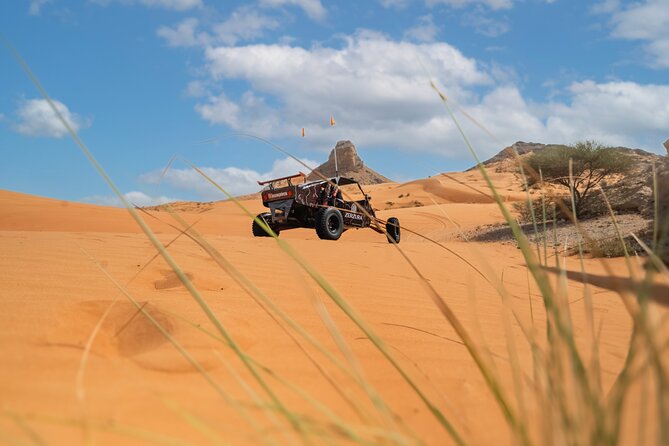 Dune Buggy & Private Dinner in the Dunes in Mleiha National Park - What dinner adds to the value