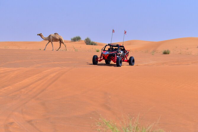 Dune Buggy Ride with Private BBQ Dinner in the Desert - Who will get the most from the $550 price?