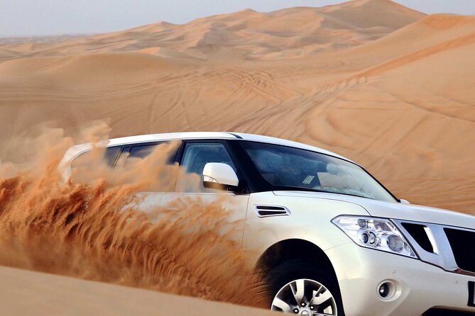Dune Safari with 4X4 Car and BBQ Dinner - The camel ride and camp arrival