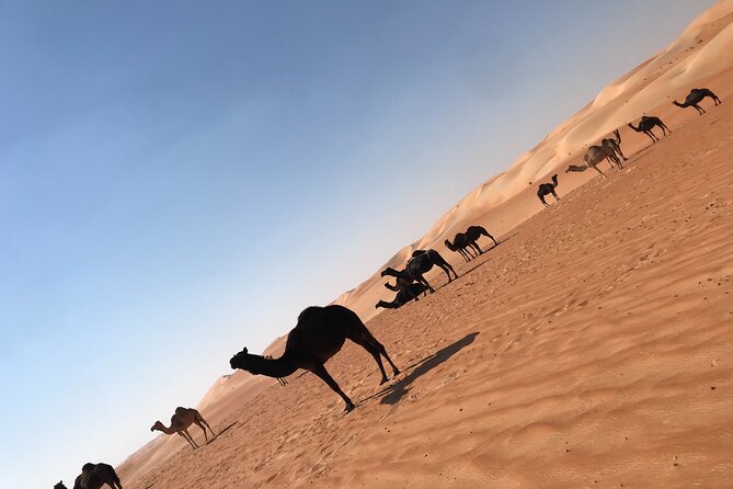 Empty Quarter Sunset Desert Safari - Leaving Abu Dhabi at 10:30 AM
