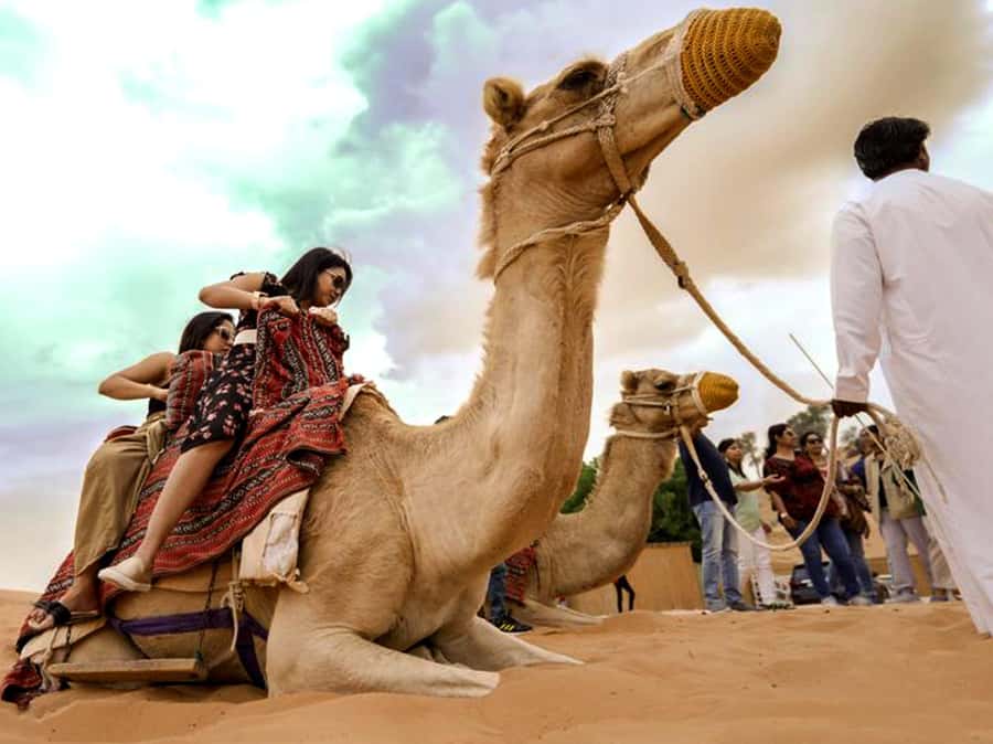 Evening Desert Dune Bashing by 4<em>4 Vehicle – Quick reasons to consider this desert safari’ /></p>
<ul>
<li><strong>Forty-five minutes of dune bashing:</strong> The 4×4 portion is long enough to feel like the heart of the outing, rather than a short spin on the sand.</li>
</ul>
<ul>
<li><strong>A full evening for $49:</strong> Dinner, water, tea, coffee, snacks, shows, camel riding, sandboarding, henna, transport, and the desert drive are included.</li>
</ul>
<ul>
<li><strong>A Bedouin Oasis camp:</strong> The evening moves from speed and sand to a calmer setting with food, seating, cultural activities, and stage entertainment.</li>
</ul>
<ul>
<li><strong>Good family appeal for older children:</strong> Children aged two and above can take part, and one family reported that young children enjoyed the dunes and sandboarding.</li>
</ul>
<ul>
<li><strong>Drivers can shape the mood:</strong> Drivers named Isaac and Casserole received special thanks for safe driving, humor, photographs, and a lively approach.</li>
</ul>
<ul>
<li><strong>Optional extras cost more:</strong> Souvenir photographs, falcon pictures, alcohol, and quad biking are available for an additional charge.</li>
</ul>
<h2 id="why-this-four-hour-trip-works">Why this four-hour trip works</h2>
<p><img width="900" height="506" decoding="async" src=