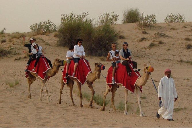 Evening Desert Safari Abu Dhabi with Dinner - The camel stop and the first taste of desert life