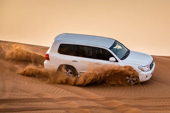 Evening Desert Safari Abu Dhabi with Hot BBQ Dinner - Key points at a glance