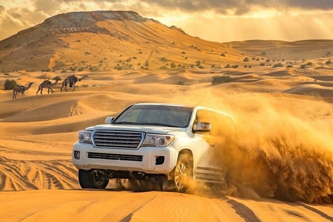 Evening Desert Safari Adventure in Dubai - Booking details worth keeping in mind