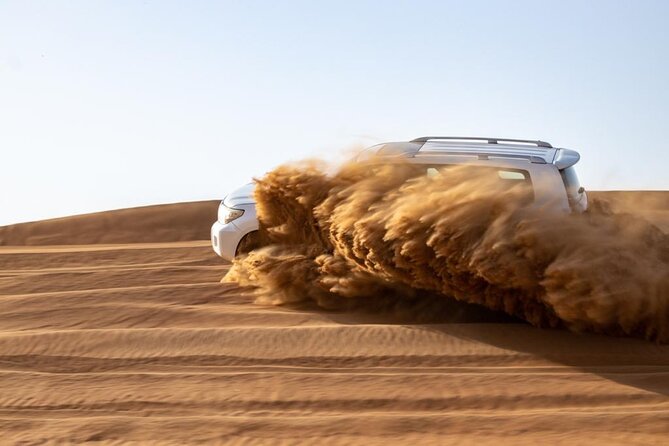 Evening Desert Safari & BBQ With Live Shows,Camel Ride,Falcon pic - Camel riding with realistic expectations