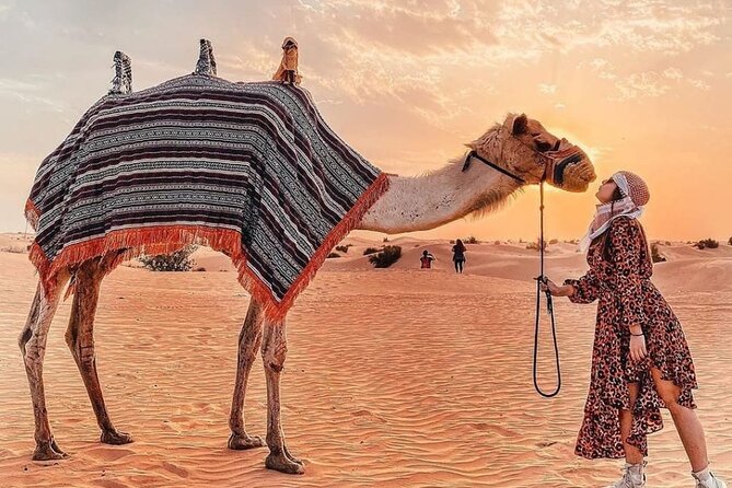 Evening Desert Safari & BBQ With Live Shows,Camel Ride,Falcon pic - Who will enjoy this safari most