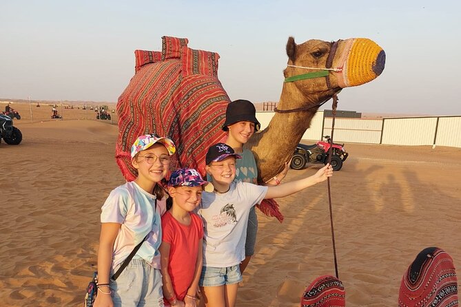 Evening Desert Safari Camel Ride Live Shows Shisha Dinner - What the $49 price really covers