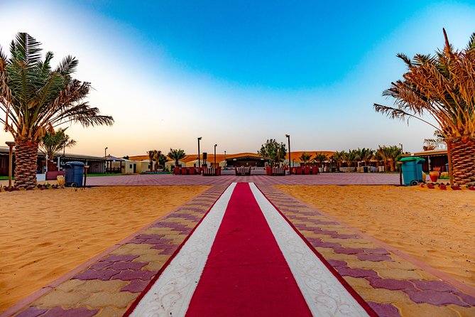 Evening Desert Safari & camel ride – Without Camp Experience - Sunset from the top of a dune