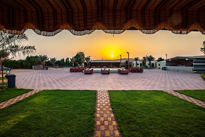 Evening Desert Safari & camel ride – Without Camp Experience - The 45-minute red desert ride is the main event