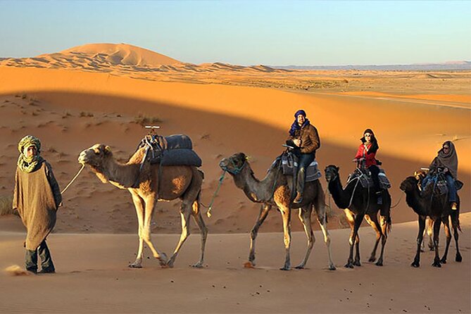 Evening Desert Safari Dubai with BBQ Dinner - The camel ride and camp arrival