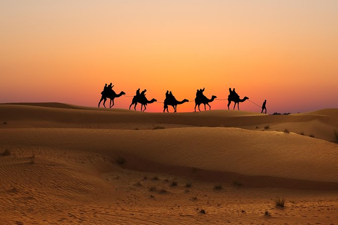 Evening Desert Safari in Dubai, Sandboard & BBQ Dinner - Who will enjoy this safari most