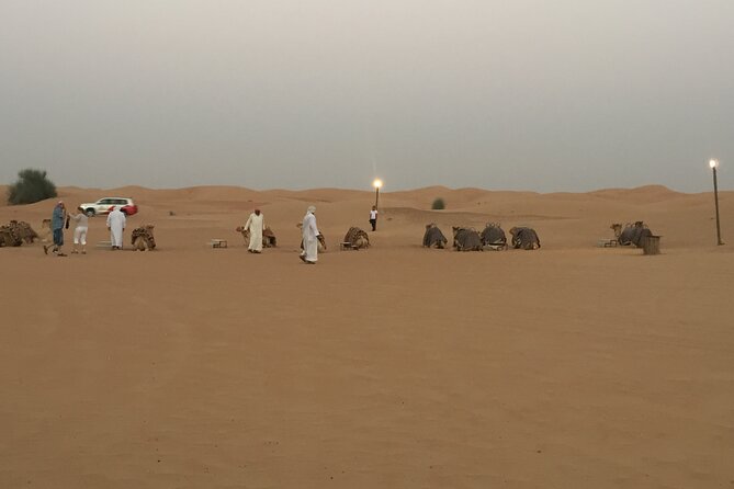 Evening Desert Safari Tour With Live Enterterment And BBQ Dinner - BBQ dinner and live entertainment