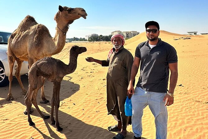 Evening Desert Safari Tours - Timing, group size, and what to bring