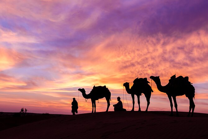 Evening Desert Safari with BBQ Dinner and Live Shows - From Dubai pickup to the Lahbab dunes