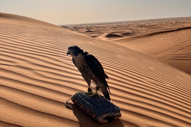 Evening Dubai Desert Safari, Red Sand, Premium camp shows & Diner - Sandboarding adds a simple, active extra