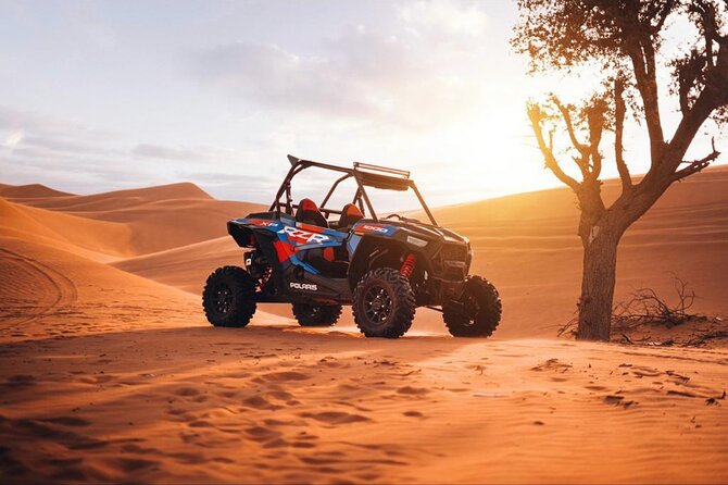 Evening Dubai Desert Safari, Red Sand, Premium camp shows & Diner - Buffet dinner and live BBQ keep the evening practical