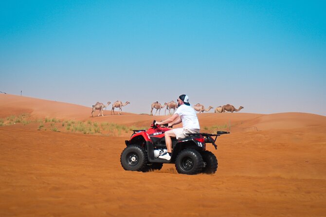 Evening Quad Bike, Desert Safari in Dubai , BBQ Dinner and Shows - From Dubai’s towers to Lahbab’s red sand