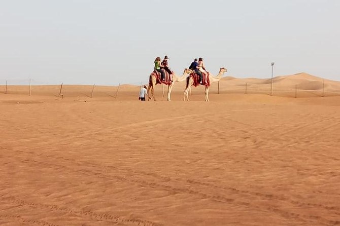 Evening Safari with Quad Bike, Camel Riding, BBQ Dinner and Dune Bashing - BBQ dinner with an international buffet