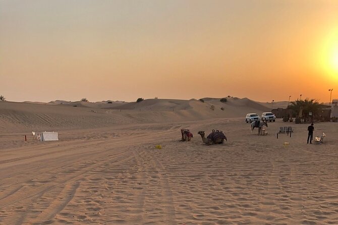 Exhilarating Desert Safari, Including BBQ Dinner from Dubai - Pickup, timing, and practical comfort