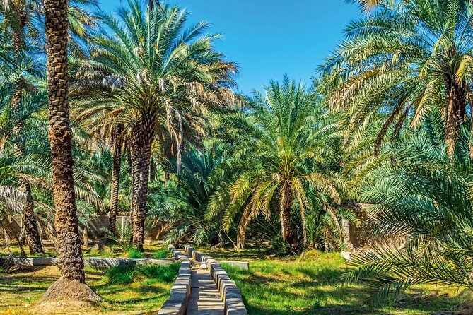 Explore Abu Dhabi In Full Day City Tour (8 Hours) - Emirates Heritage Village and the older Abu Dhabi