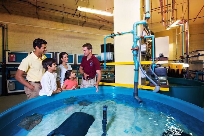 Fish Tales Lost Chambers Tour - What makes Fish Tales different from a normal aquarium visit